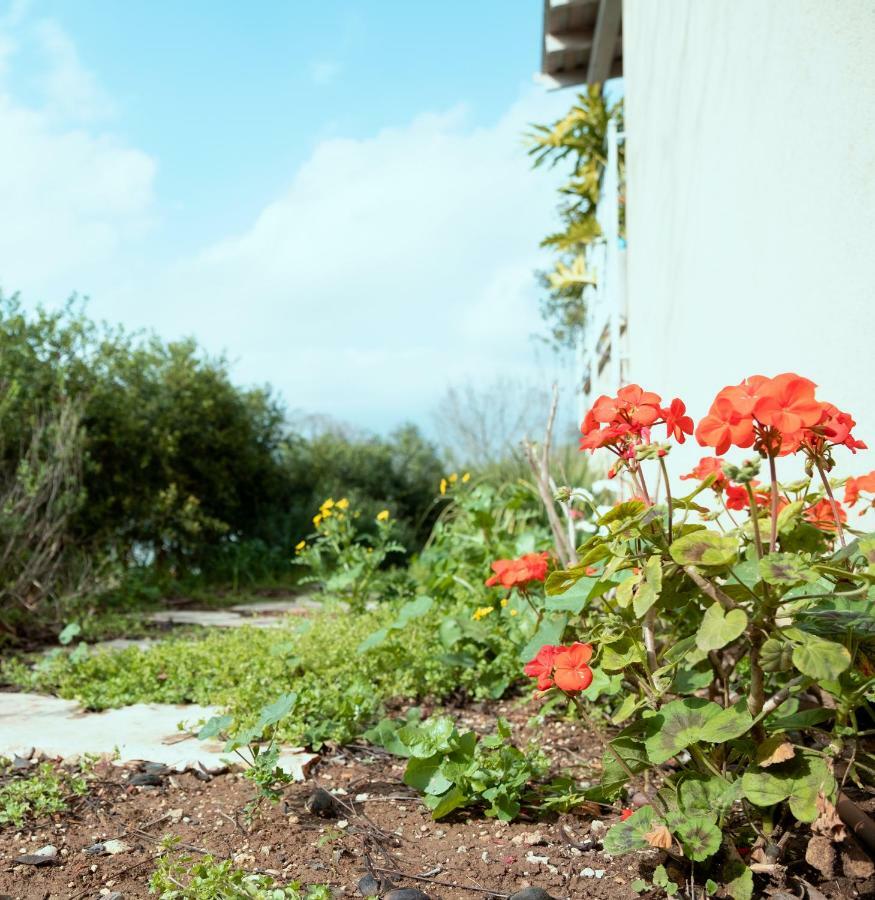 Beautiful Apartment In Kibbutz Yifat Yif'at Exterior foto